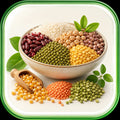 Grains & Legumes