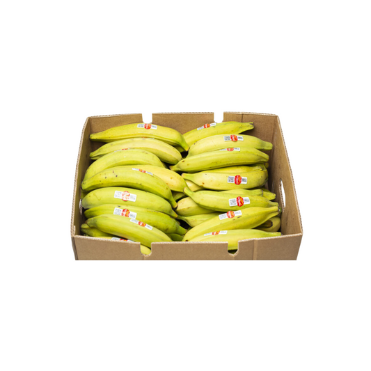 Plantain Box