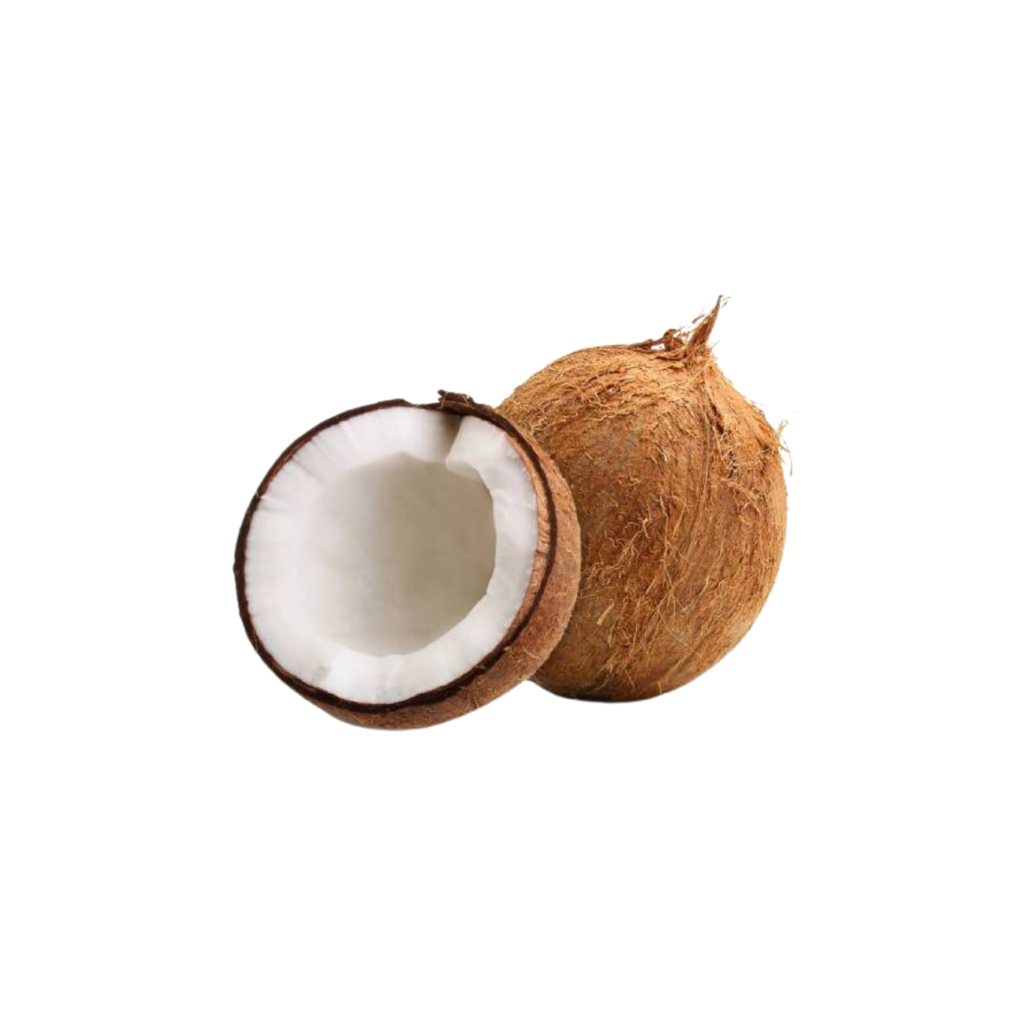 Fresh Coconut