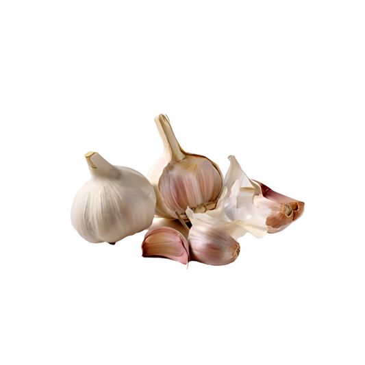 Fresh Garlic