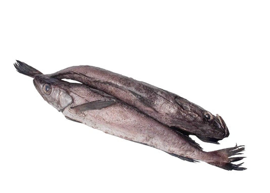 Fresh Stockfish | Hake | Whitening fish cut and cleaned
